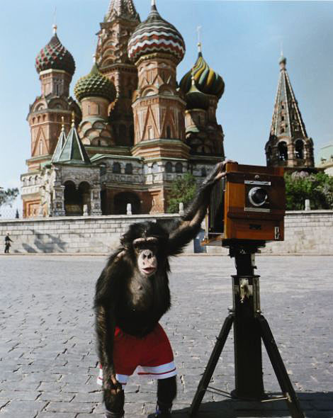 Шимпанзе Микко на Красной площади.Komar & Melamid. Фото  Sotheby\'s