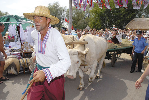 Фото: http://www.yarmarok.poltava.ua