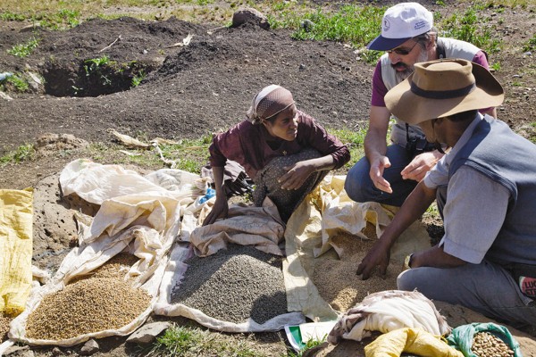 Members of the expedition collect samples of wheat at the market in Bahir Dar / Photo by Dmitry Shchepotkin