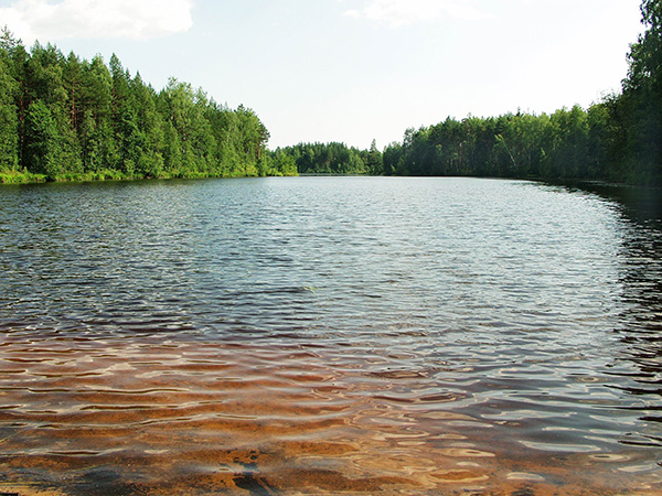 Озеро горшково ивановская область