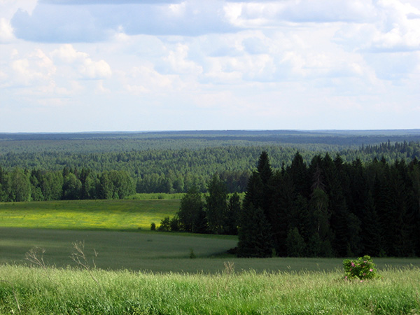Карта гурезь пудга