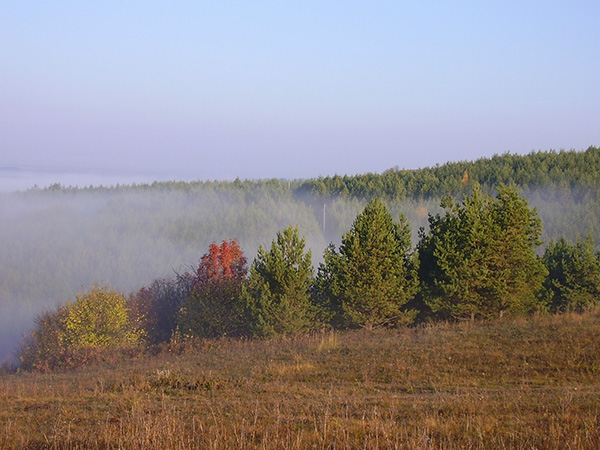 Усть Бельск Удмуртия