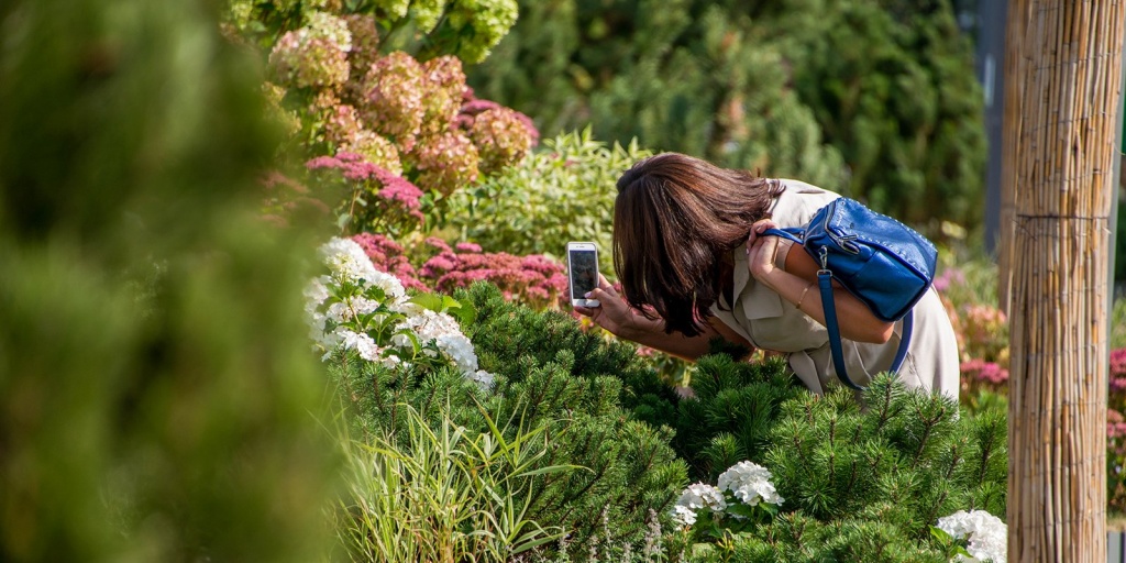 Фото: Юлия Иванко / mos.ru (CC BY 4.0)###https://www.mos.ru/news/item/60894073/ 