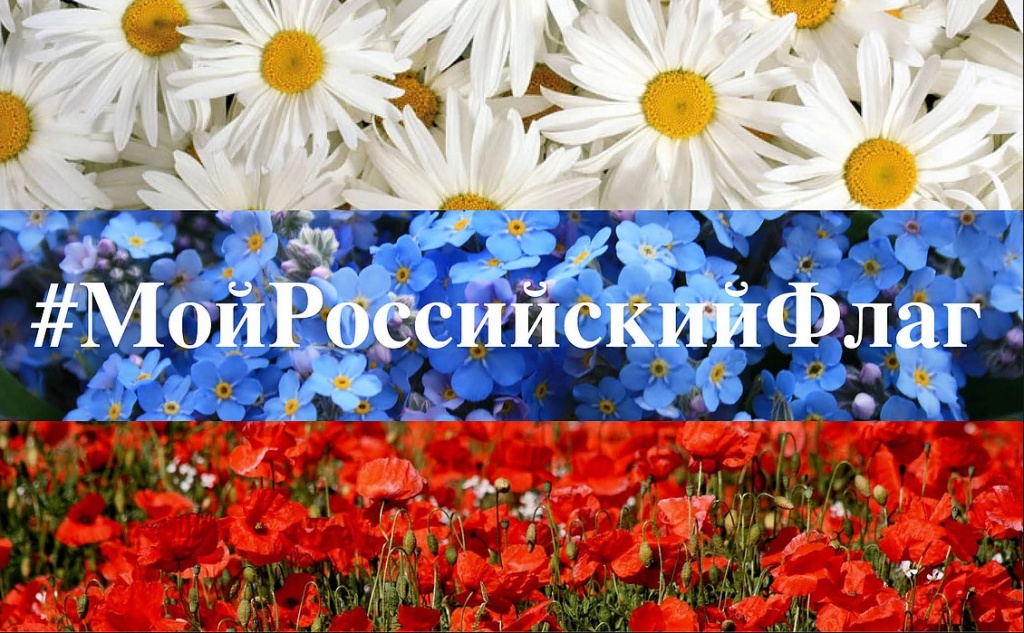 МойФлаг МойФлаг