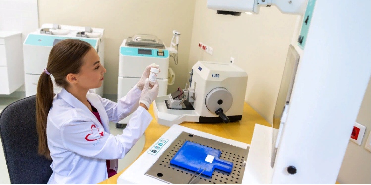 Фото: В. Новиков / пресс-служба мэра и правительства Москвы / mos.ru (CC BY 4.0)###https://www.mos.ru/mayor/themes/18299/8506050/