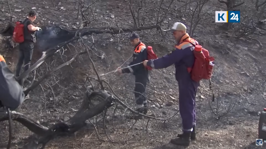 Жители российских регионов предлагают помощь Кубани, пострадавшей от лесных пожаров