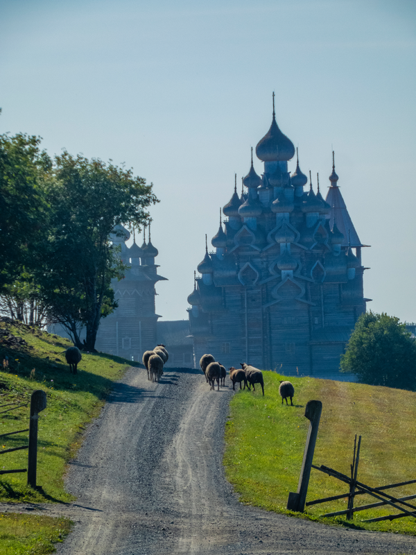 Дмитрий Пигин. Кижское утро. ПОБЕДИТЕЛЬ фотоконкурса. Так выглядит дорога на работу у тех счастливцев, кто трудится на острове Кижи