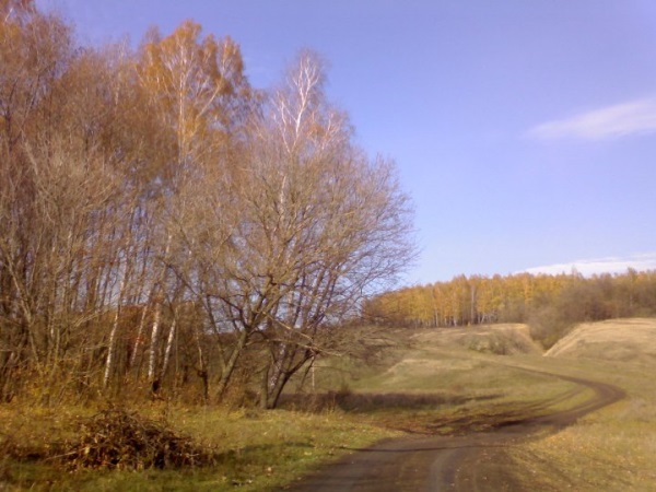 Дорога в Курской области