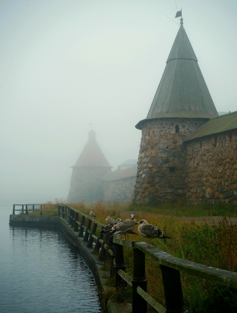 Евгений Яковлев. Утро туманное. Финалист конкурса. На фотографии запечатлён осенний вид на Соловецкий мужской монастырь