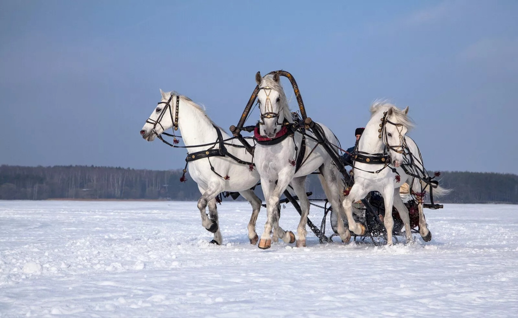 Фото: mos.ru (CC BY 4.0)###https://www.mos.ru/news/item/96886073/