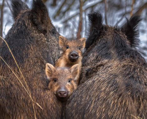 Фото: Фёдор Лашков Фото: Фёдор Лашков