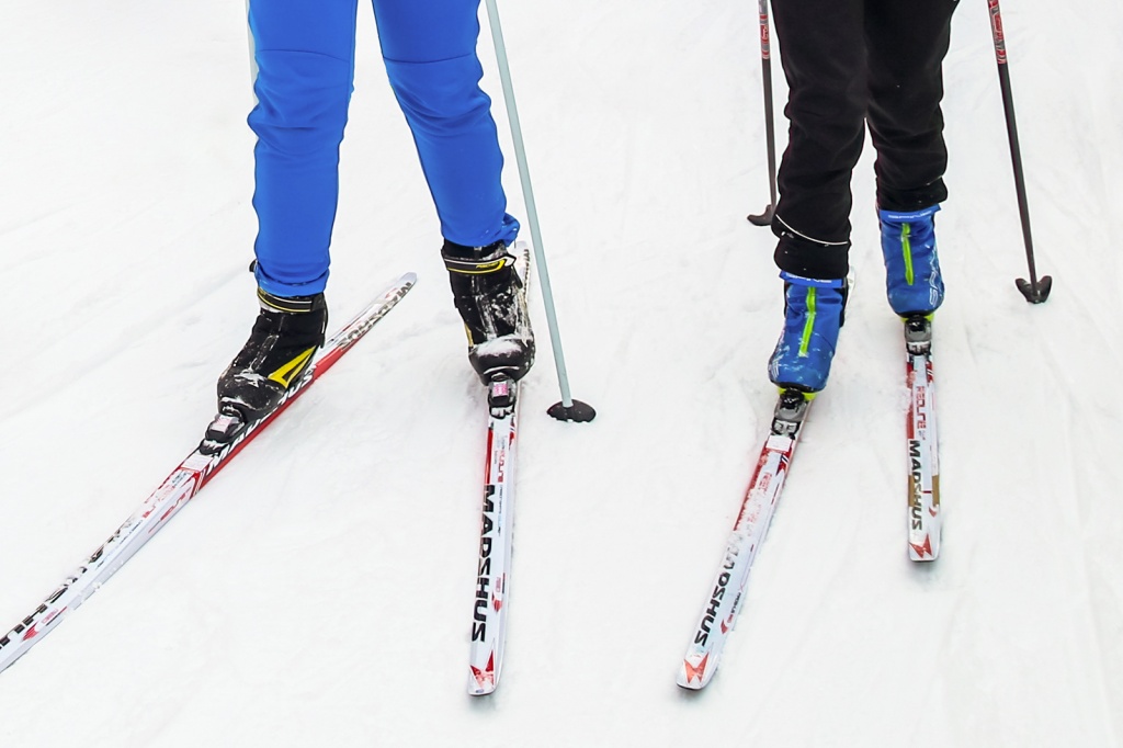 Фото: mos.ru (CC BY 4.0)###https://www.mos.ru/news/item/118316073/