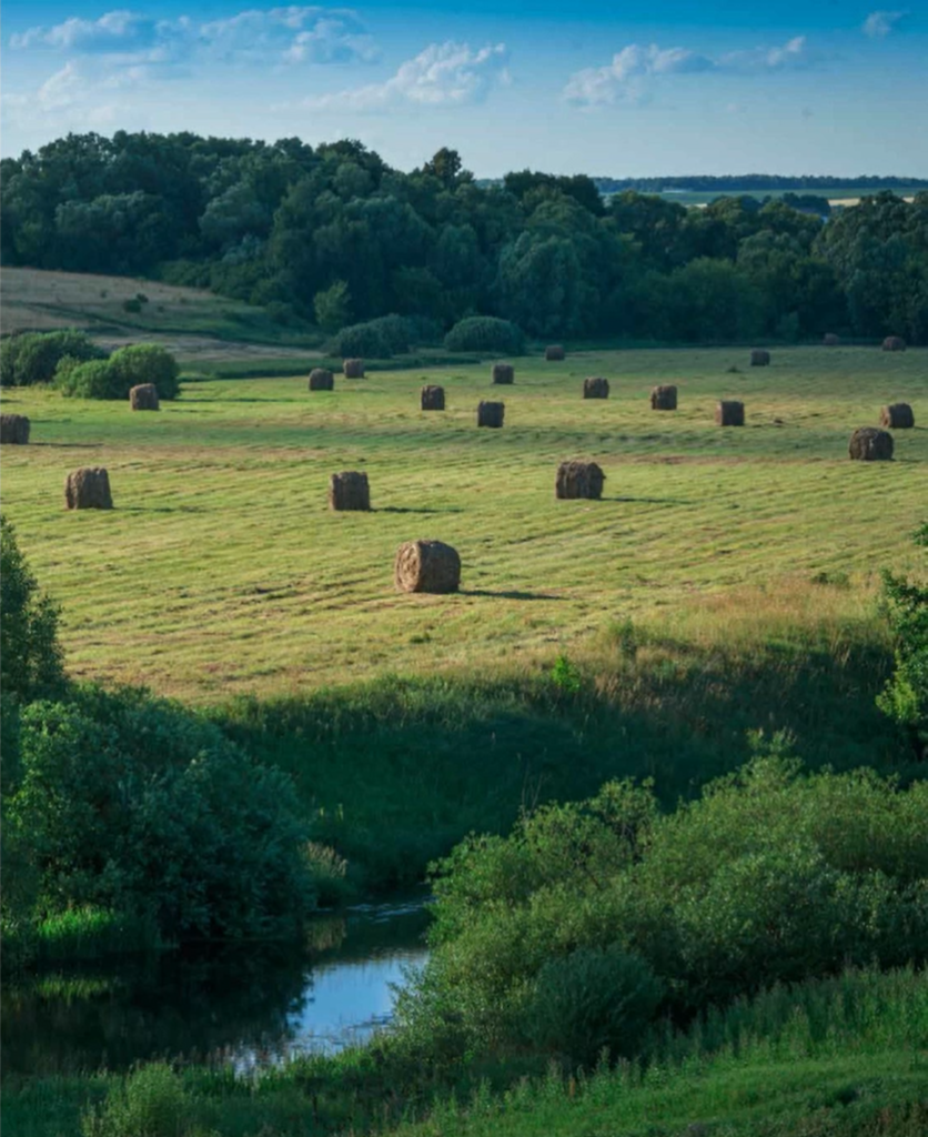 «Русское поле», презентация проекта. Стоп-кадр