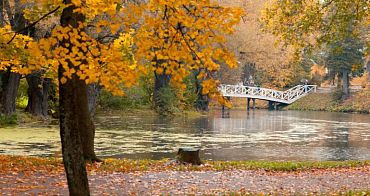 Конкурс «Всемирный Пушкин» подводит итоги