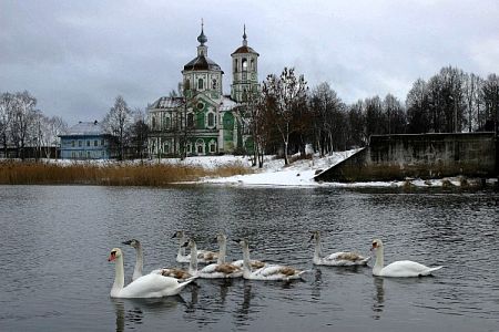 Богатыри из медвежьего угла