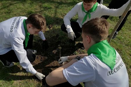 «Сады памяти» высадили в Египте и Приднестровье