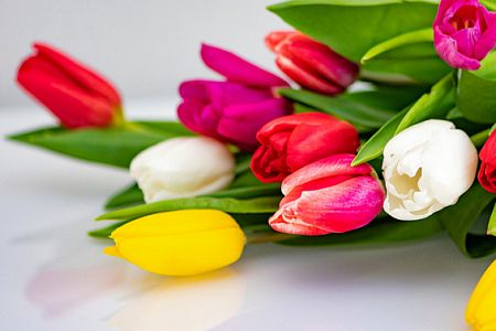 Россияне и соотечественники отмечают Международный женский день